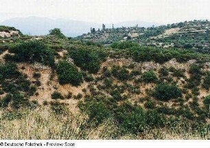 Landschaft