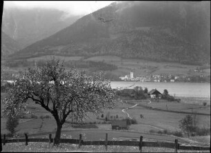 Wolfgangsee: mit St. Wolfgang, vom Südufer, blühender Baum