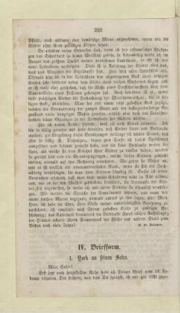 IV. Briefform