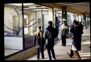 Zoo Neues Vogelhaus 2.3.63.