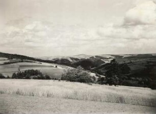 Müglitztal und Wilisch. Blick vom Lerchenhübel an der Straße Bärenstein - Altenberg