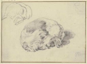 Zwei schlafende Hunde