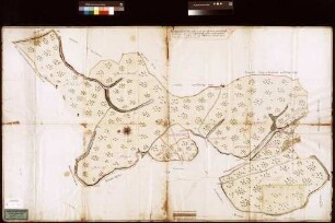 Geometrischer Grundriss der gemeinherrschaftlichen Waldungen in dem löwensteinischen Forst Neustadt i.O. (Inselkarte)