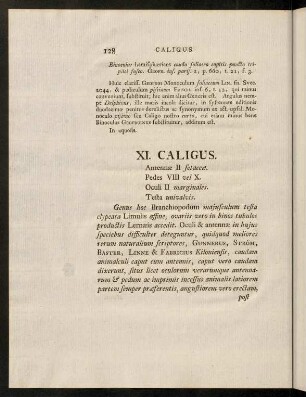 128-134, XI. Caligus