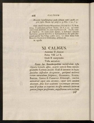 128-134, XI. Caligus