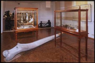 Sonderausstellung Schifffahrt