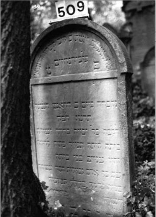 Grabstein 509 (Index: 99803848) Material: Sandstein Zustand: kleinere Teile unten abgeblättert Maße HxBxT: 112x60x11 cm Beschreibung: Stele mit verdachtem Rundbogen, profilierter Rand, Giebelfeld Besonderheit: längerer Text: Grabstein 509