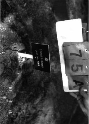 Grabstein 75 (Index: 100105563) Besonderheit: Grabstein noch nicht gesetzt: Grabstein 75A