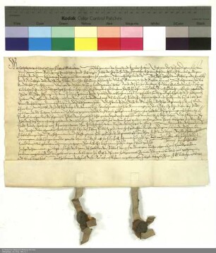 Revers der Brüder Sebastian und Christoph von Fulbach bezüglich der Belehnung mit einem Hof in Rannungen durch Wolfgang [Schutzbar gen. Milchling], Abt von Fulda