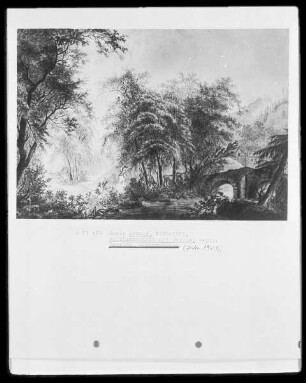 Waldlandschaft mit Brücke