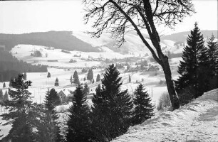 Falkau: Fernblick auf Altglashütten von Falkau