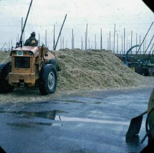 Fotografie: Ein- und Auslagerungstechnik, Flachsilo, Radlader, Silomais