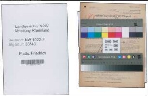 Entnazifizierung Friedrich Platte , geb. 29.12.1912 (Abteilungsleiter)