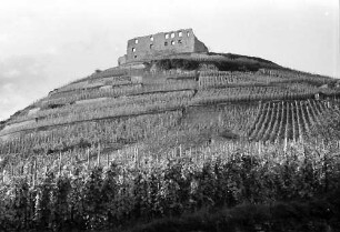 Staufen: Schlossberg mit Ruine