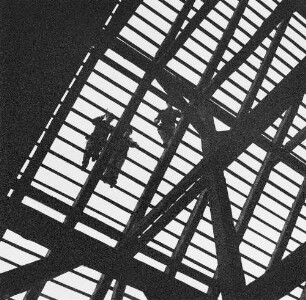 Dachdecker in Basedow