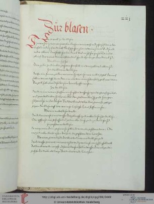 Rezepte gegen Krankheiten der Blase