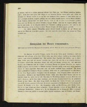 Kennzeichen der Roses remontantes.