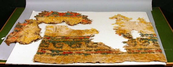 Tissu de plumes (fragment)