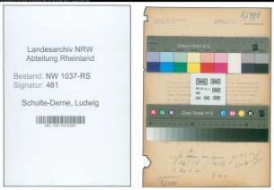 Entnazifizierung Ludwig Schulte-Derne , geb. 01.01.1891 (Ingenieur)