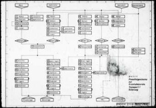 Prozessfolgeschema zur Grünfutterernte Transport/Silierung