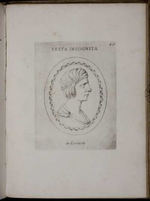 Testa Incognita