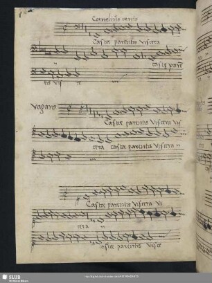 Cornelius Canis: Casta parentis