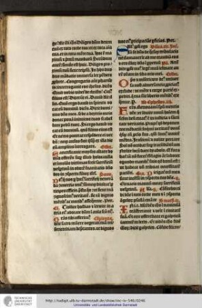 Introitus. Salus populi ego sum...