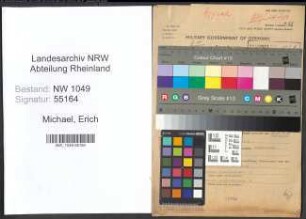 Entnazifizierung Erich Michael , geb. 02.02.1900 (Zollbeamter)