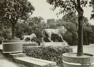 Muskau, Löwenskulpturen im Park : Muskau. Park des Fürsten Hermann Pückler (geboren Muskau 1785, gestorben Branitz 1871): Schloß. Ostseite. zwei Löwen an der Freitreppe