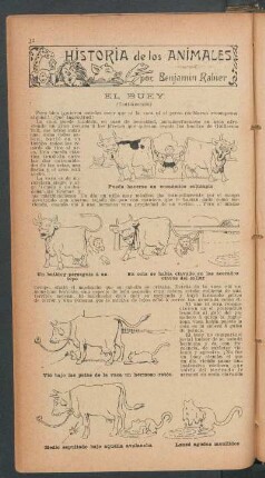 El buey - (Continuación) : Historia de los animales