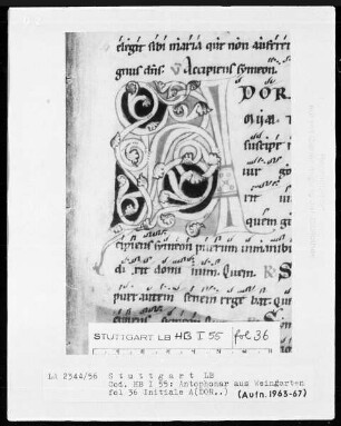 Monastisches Antiphonale — Initiale A, Folio 36recto