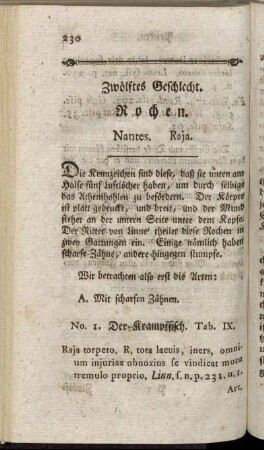 Zwölftes Geschlecht. Rochen.