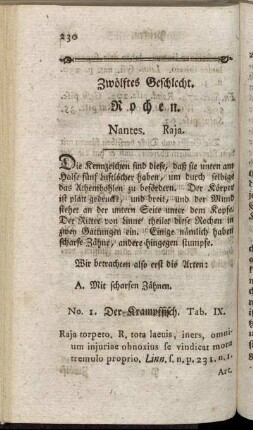 Zwölftes Geschlecht. Rochen.