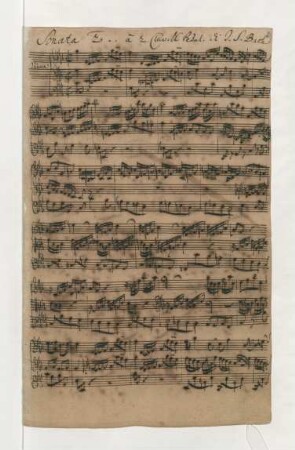 Sonaten; org; c-Moll; BWV 526