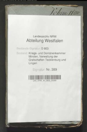 Die von Andreas Teepe anzulegende Papiermühle in der Bauerschaft Westerbeck, Kirchspiels Lienen, nachher auf Driemeyers Gründen, Kirchspiels Ledde