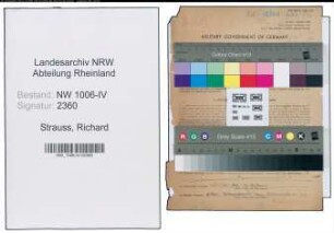 Entnazifizierung Richard Strauss , geb. 09.10.1892 (Maler)