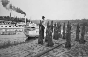 Meißen. Aalreusen, zum Trocknen aufgestellt. Blick über die Elbe mit Personen-Seitenraddampfer "Diesbar" auf eine Ofenfabrik