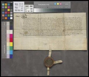 Dalsheim: Litera emt. eines Flecken an dem Hubhof zu Dalsheim gelegen