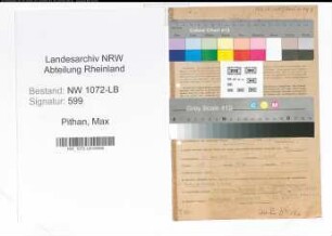 Entnazifizierung Max Pithan , geb. 27.03.1878 (Kassenleiter)