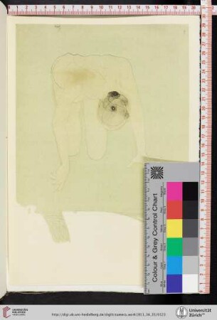 scale/colour chart