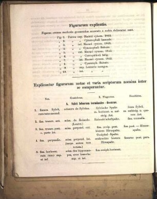 Figurarum explicatio.