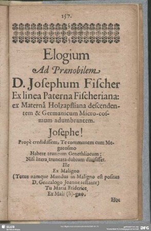 Elogium Ad Praenobilem D. Josephum Fischer ...