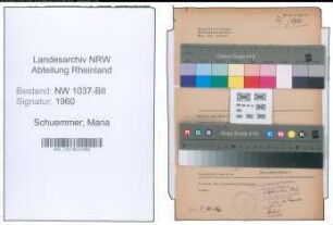 Entnazifizierung Maria Schuemmer , geb. 09.05.1896 (Hausgehilfin)