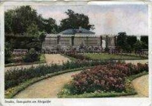 Rosengarten in Dresden