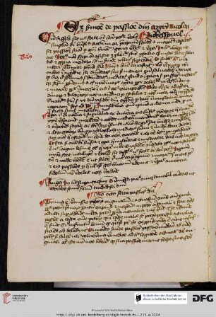 Nicolaus de Dinkelspuel, Sermones de passione domini