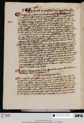 Nicolaus de Dinkelspuel, Sermones de passione domini