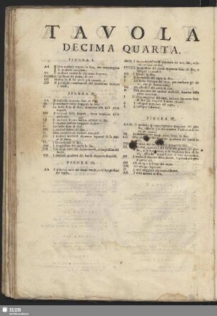 Tavola Decima Quarta