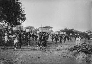 Transport (Sammlung Hans Meyer - Herzog-Adolf-Friedrich-Expedition 1907–1908)