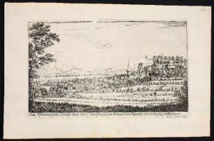 Das Pfinzingische Schloss und Dorf Henffenfeld, 4 Stund uon Nürnb. von Nidergang anzusehen. - Henfenfeld; Pfinzingschloss, Henfenfeld