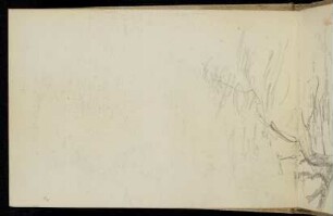 8v-9r 29.VI.1883 Cedern des Libanon